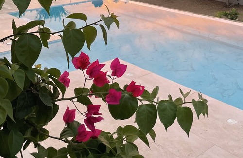 Alinda Cottage | LEMON COTTAGE at Alinda Leros