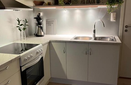 Tromso Apartment | Lena Apartment Tromsø