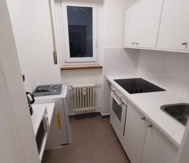 Mattenhof-Weissenbuhl Apartment | LentulusSkyAppartement