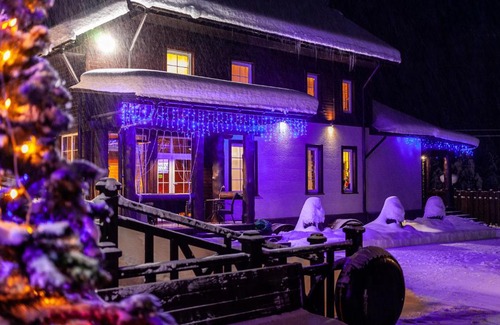 Artybash House | Leontopodium Teletskoye