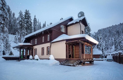 Artybash House | Leontopodium Teletskoye