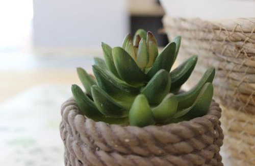 Besancon Bed & Breakfast | Les AGRIATES