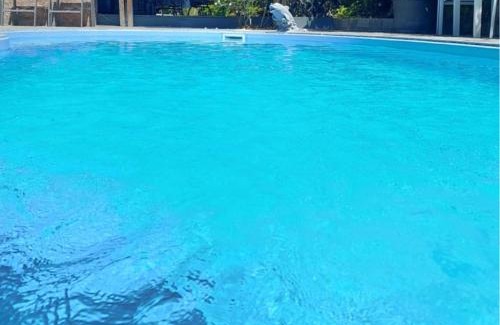 Le Centre House | Les Alocasias