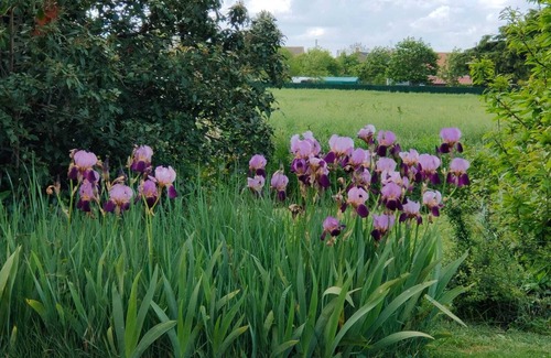 Ferolles Cottage | Les Chailleuses. Loire Valley and Sologne