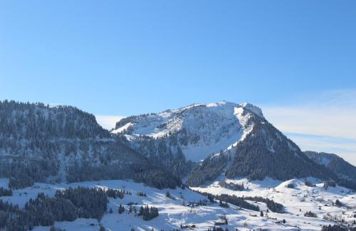Leysin Apartment | Les Frênes