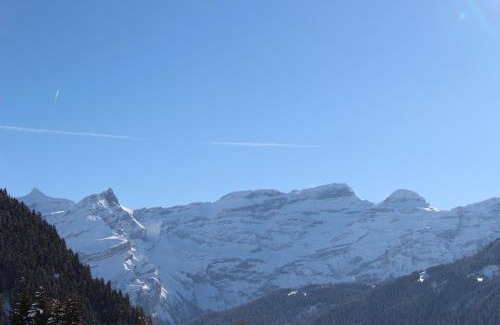 Leysin Apartment | Les Frênes