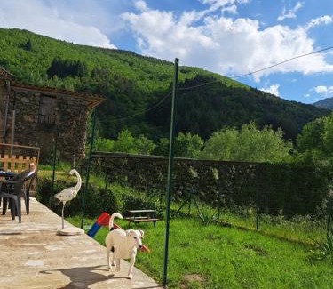 Barnas Apartment | Les gites flora la lavande et châtaignier