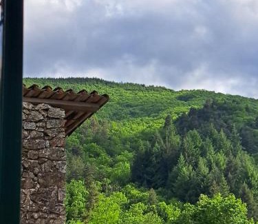 Barnas Apartment | Les gites flora la lavande et châtaignier