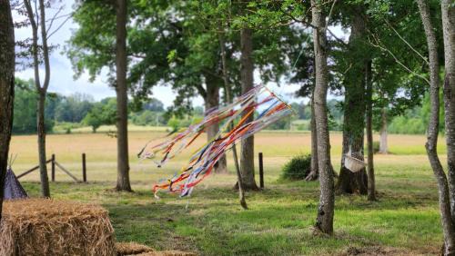 Saint-Aubin-de-Locquenay House | Les naturelles