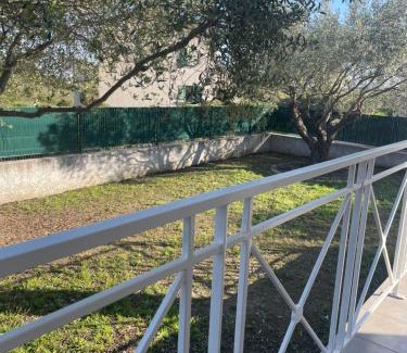 Aleria House | Les oliviers