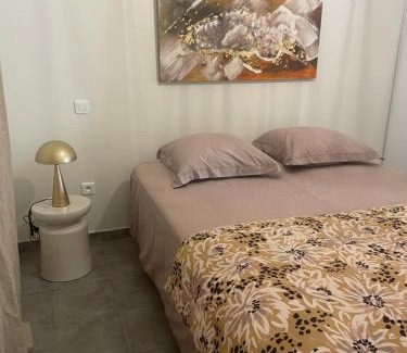 Aleria House | Les oliviers