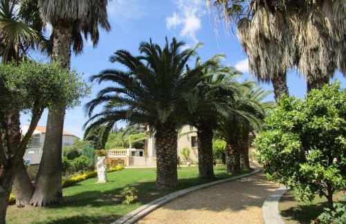 Vias House | les palmiers