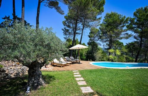 Lorgues Bed & Breakfast | LES TERRASSES DE LORGUES - B&B de charme en Provence