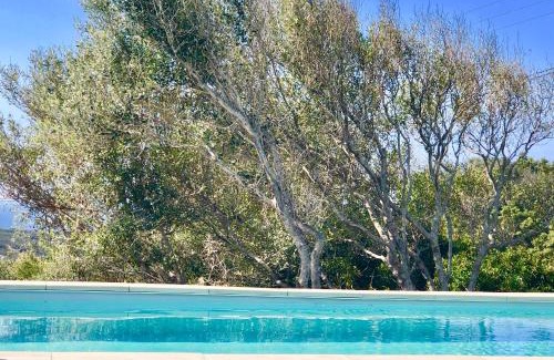 Porto Pollo Villa | Les Villas MarInCelu