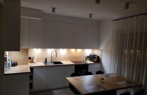 Wodzislaw Slaski Apartment | Leszka Loft Apartment