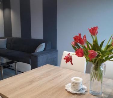 Oliwa Apartment | Letnia Oliwa