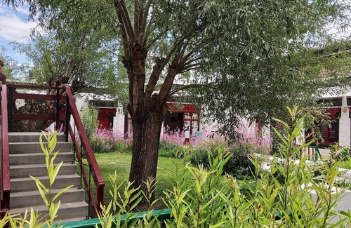 Nubra Valley Hotel | Lharimo North Cottage