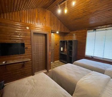 Arakli Hotel | LİYA 107 DAĞ MANZARALI oda