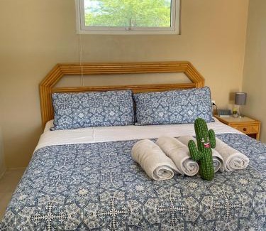 Piedra Plat Apartment | LiCe Garden Aruba