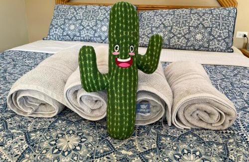 Piedra Plat Apartment | LiCe Garden Aruba