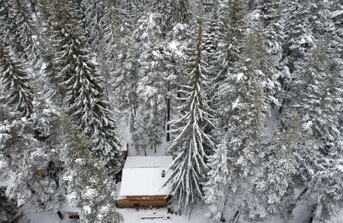 Semkovo Cabin | Life House-Semkovo