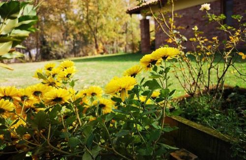 Zakanyszek Villa | Liget Rezidencia