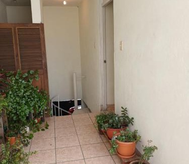 Zona 7 Apartment | lindo apartamento
