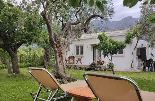 Ano Kariotes Apartment | Liostasi Cottage