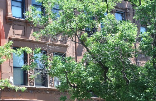 Upper Manhattan Apartment | Lita's - Spectacular Sun-filled Parlor 1 Bedroom Suite in Harlem Landmark Area