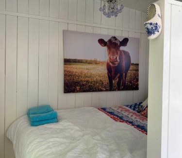 Oostvoorne Other | Little blue house (on the campsite)