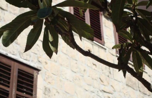 Cavtat Old Town Apartment | Little Gem - Apartment in the heart of Cavtat