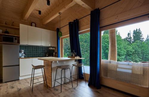 Dzianisz House | LITTLE KOIS VILLAGE