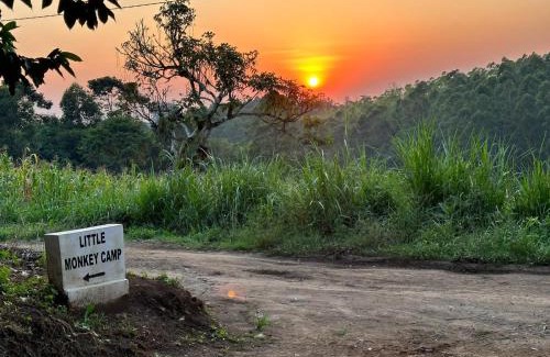 Kibale Hotel | Little Monkey Camp