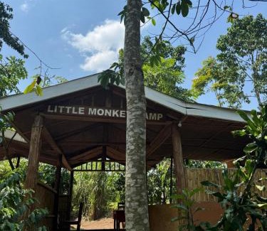 Kibale Hotel | Little Monkey Camp