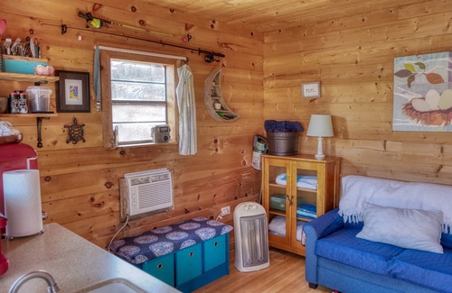 Goreville Cabin | Little Moon Tiny Lake of Egypt Lakefront Cabin