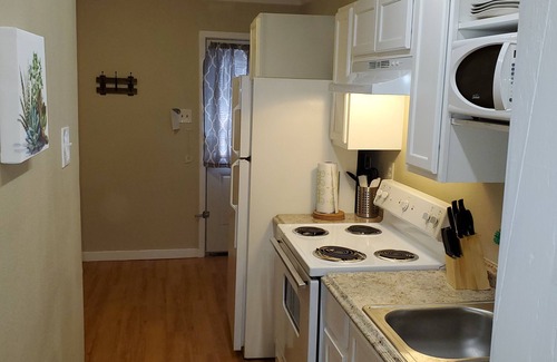 Springwoods Apartment | Little Oasis 1 BR 1 BA Washer/Dryer Pet Stays for Free !