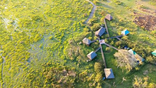 Mara Other | Little Okavango Camp Serengeti, A Tent with a View Safaris