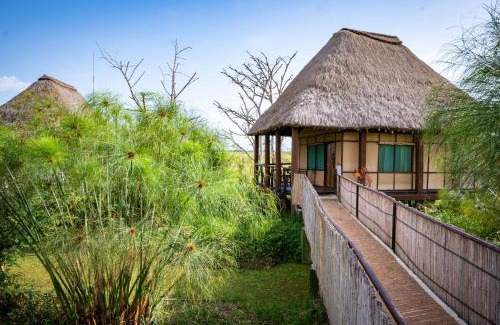 Mara Other | Little Okavango Camp Serengeti, A Tent with a View Safaris