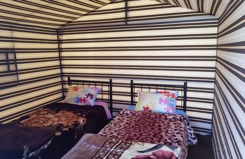 Wadi Musa Other | Little Petra Bedouin Camp
