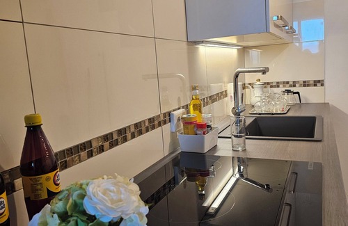 Boppard Apartment | Little Rhine View Château - Harry: Apartment at the largest Rhine bend