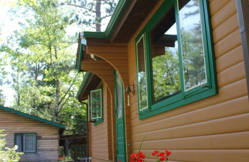 Grand Rapids Cabin | Little Trout Lake Cabin on the pristine Wabana Chain: Views, Wooded, Bunkhouse