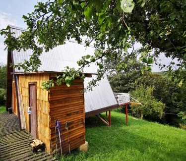 Carbunari House | Livada Becica