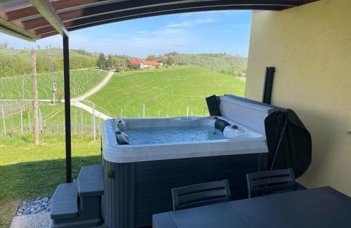 Hermanci House | Liveza House