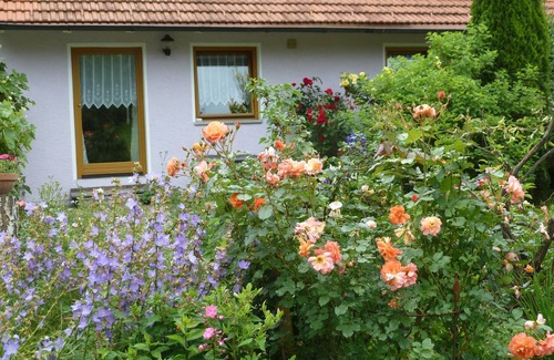 Kirchdorf im Wald House | Living in nature at the Bavarian Forest National Park