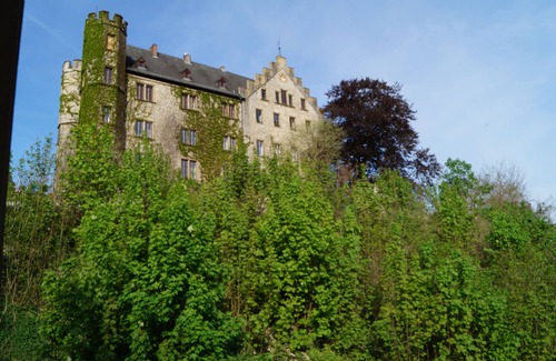 Thungen Apartment | Living on the Schlossberg Elefant