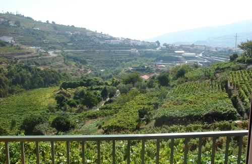 Baiao Other | Living sorrouded by vineards in Douro