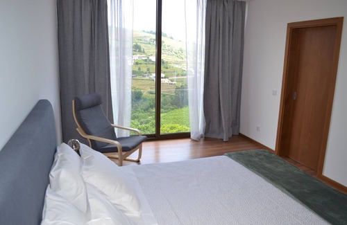 Baiao Other | Living sorrouded by vineards in Douro
