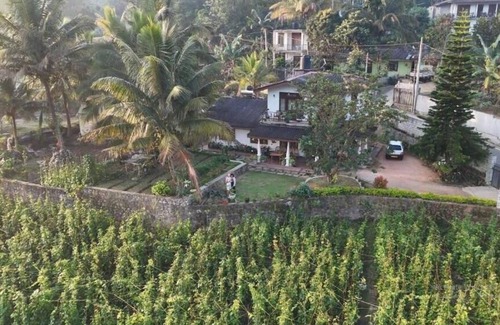 Kumbalwela House | Triple Room with Mountain View