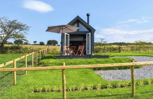 Pontardulais Cottage | Llandremor Fawr Lodge - UK50336