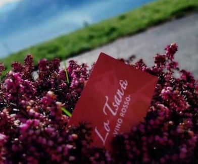 Chef-Lieu Apartment | lo Tsanty casa vacanza